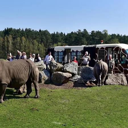 Zelte Im Safari Park