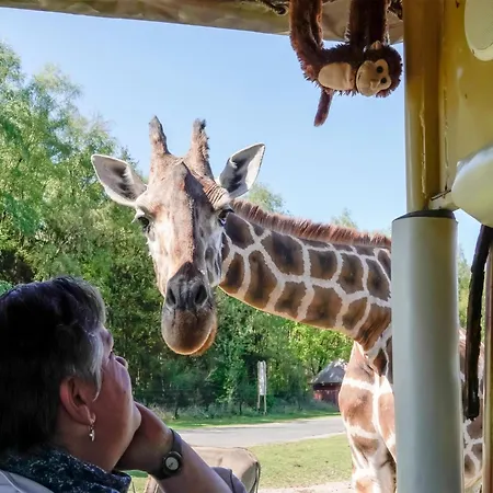 럭셔리텐트 Zelte Im Safari Park *