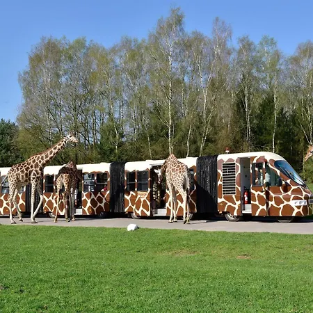 럭셔리텐트 Zelte Im Safari Park 호덴하겐