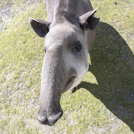 Zelte Im Safari Park